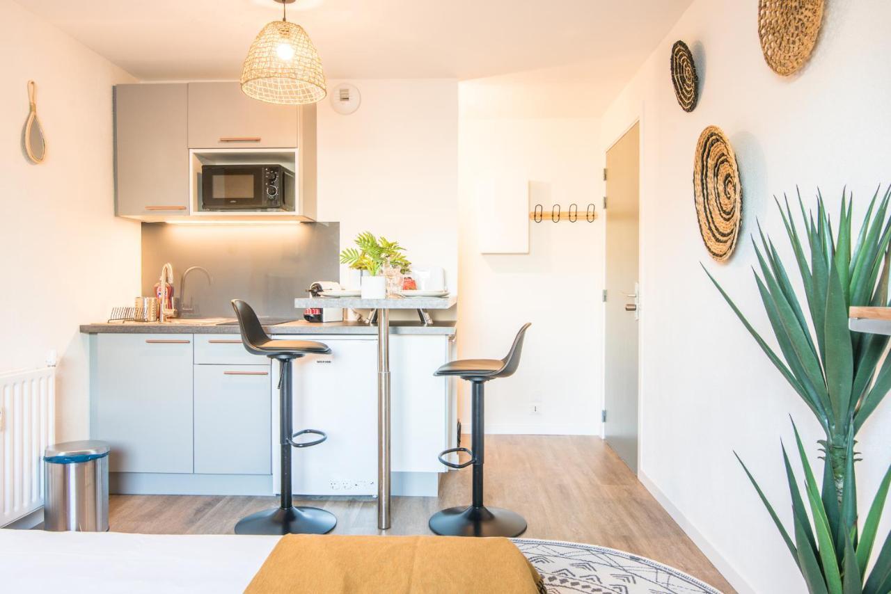 L'Integrale Apartment Strasbourg Luaran gambar