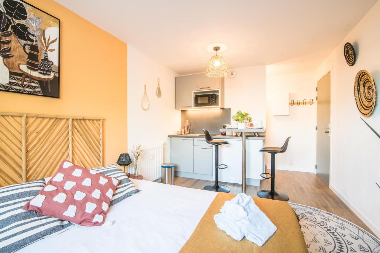 L'Integrale Apartment Strasbourg Luaran gambar