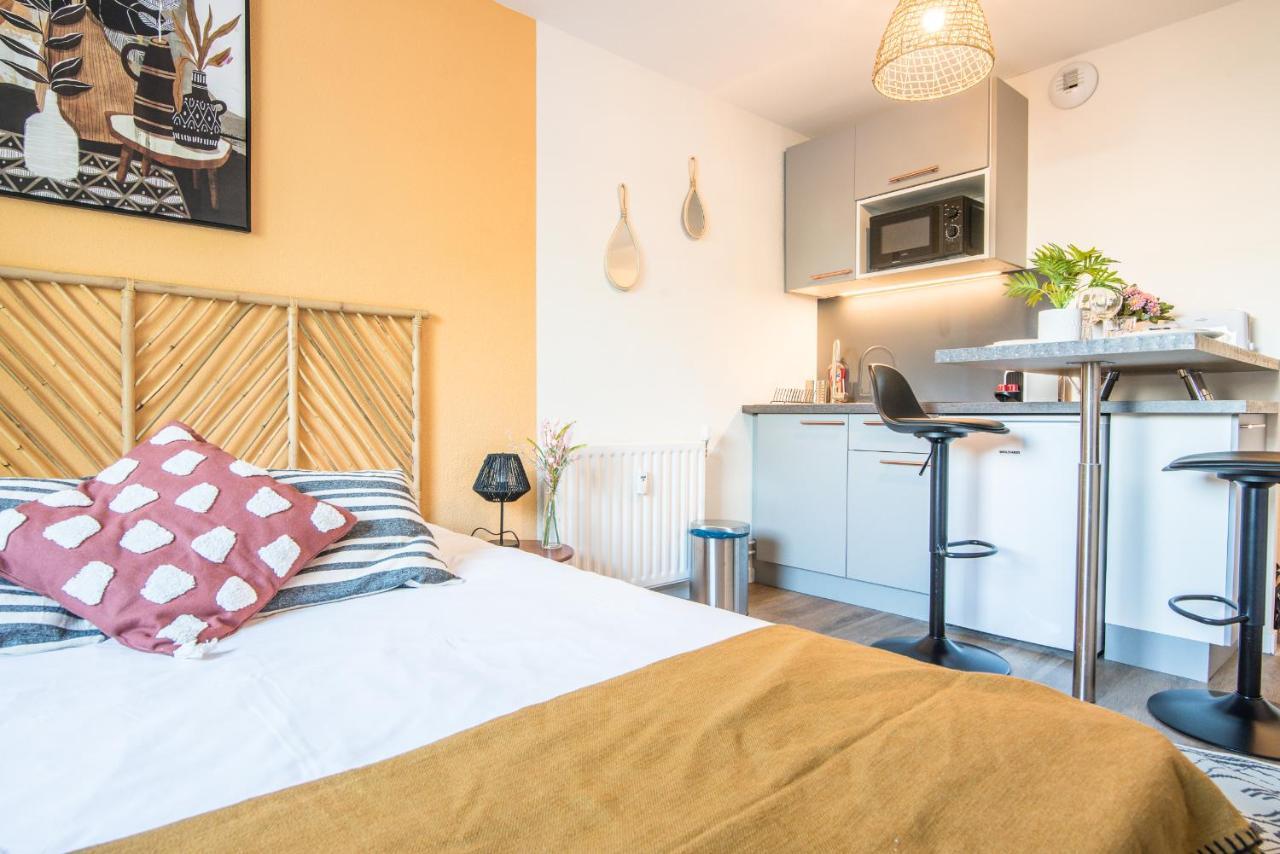 L'Integrale Apartment Strasbourg Luaran gambar